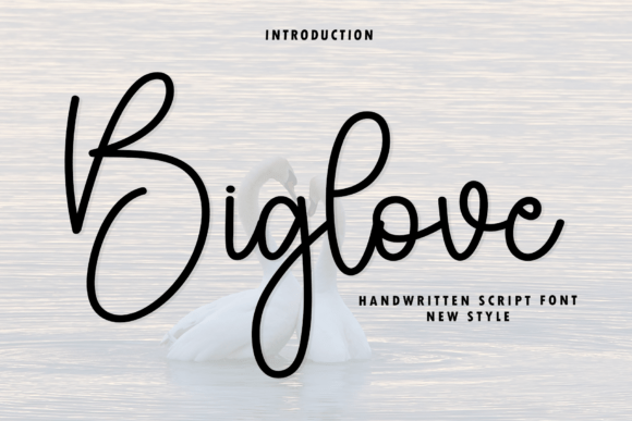Biglove: Defining Modern Elegance with Every Stroke